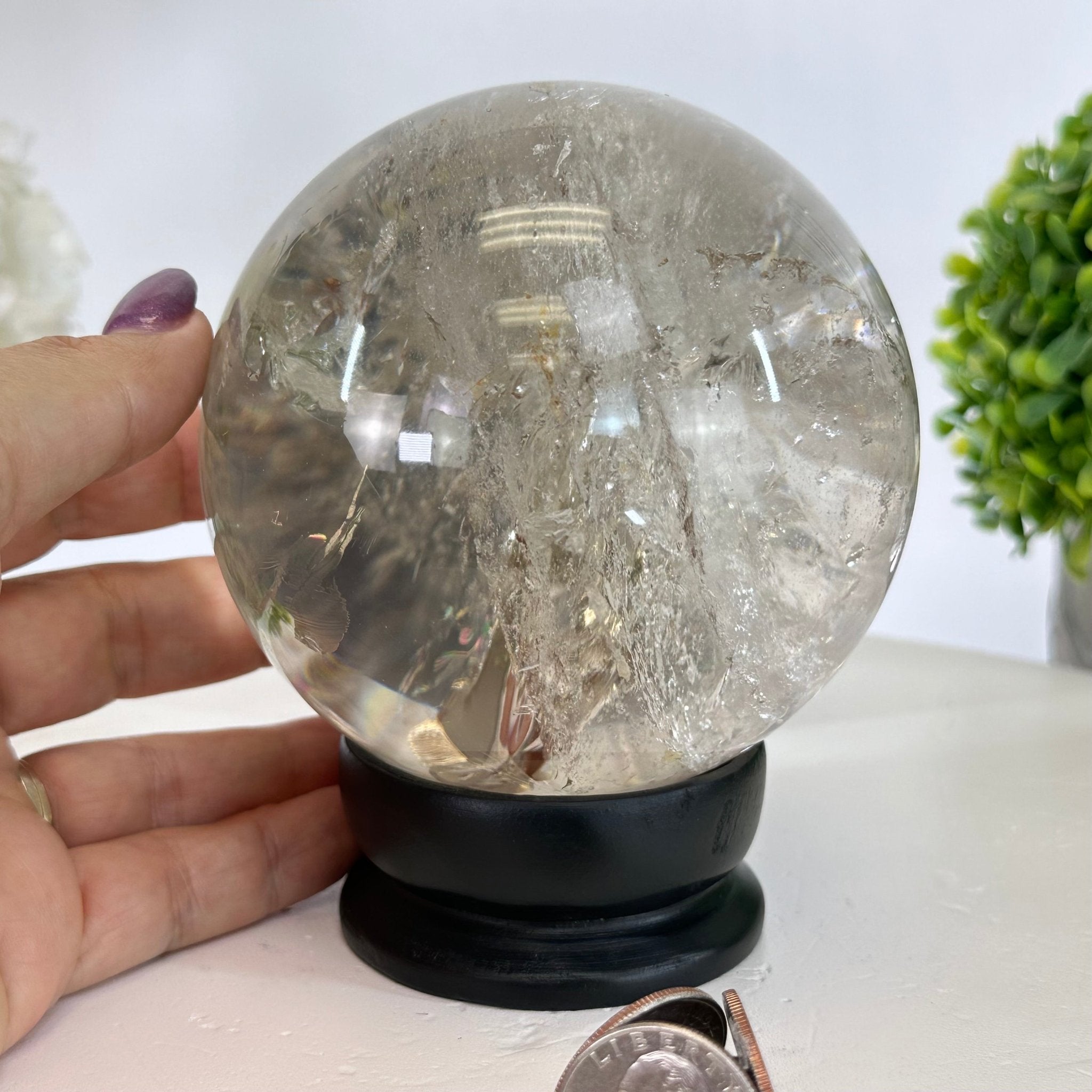 Super Quality Smoky Quartz Sphere on Wood Base 3.3 lbs & 4.9" Tall #5636 - 0010 - Brazil GemsBrazil GemsSuper Quality Smoky Quartz Sphere on Wood Base 3.3 lbs & 4.9" Tall #5636 - 0010Spheres5636 - 0010