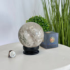 Super Quality Smoky Quartz Sphere on Wood Base 3.3 lbs & 4.9" Tall #5636 - 0010 - Brazil GemsBrazil GemsSuper Quality Smoky Quartz Sphere on Wood Base 3.3 lbs & 4.9" Tall #5636 - 0010Spheres5636 - 0010