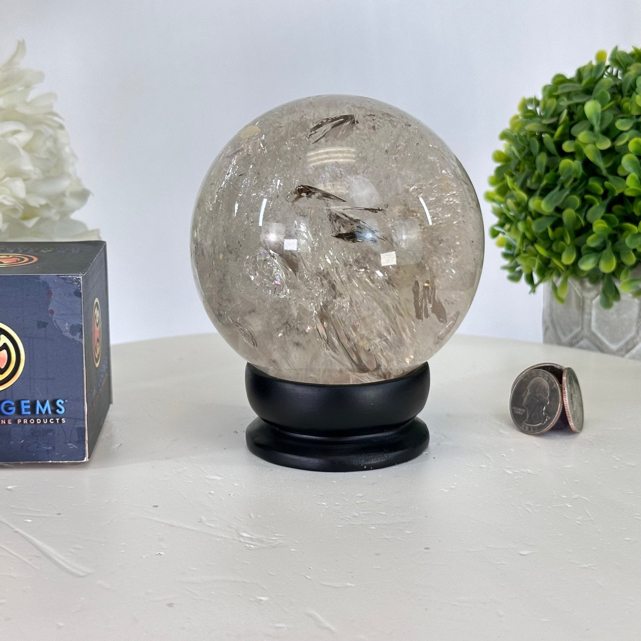 Super Quality Smoky Quartz Sphere on Wood Base 3.3 lbs & 4.9" Tall #5636 - 0010 - Brazil GemsBrazil GemsSuper Quality Smoky Quartz Sphere on Wood Base 3.3 lbs & 4.9" Tall #5636 - 0010Spheres5636 - 0010