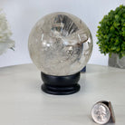 Super Quality Smoky Quartz Sphere on Wood Base 3.4 lbs & 5" Tall #5636 - 0011 - Brazil GemsBrazil GemsSuper Quality Smoky Quartz Sphere on Wood Base 3.4 lbs & 5" Tall #5636 - 0011Spheres5636 - 0011