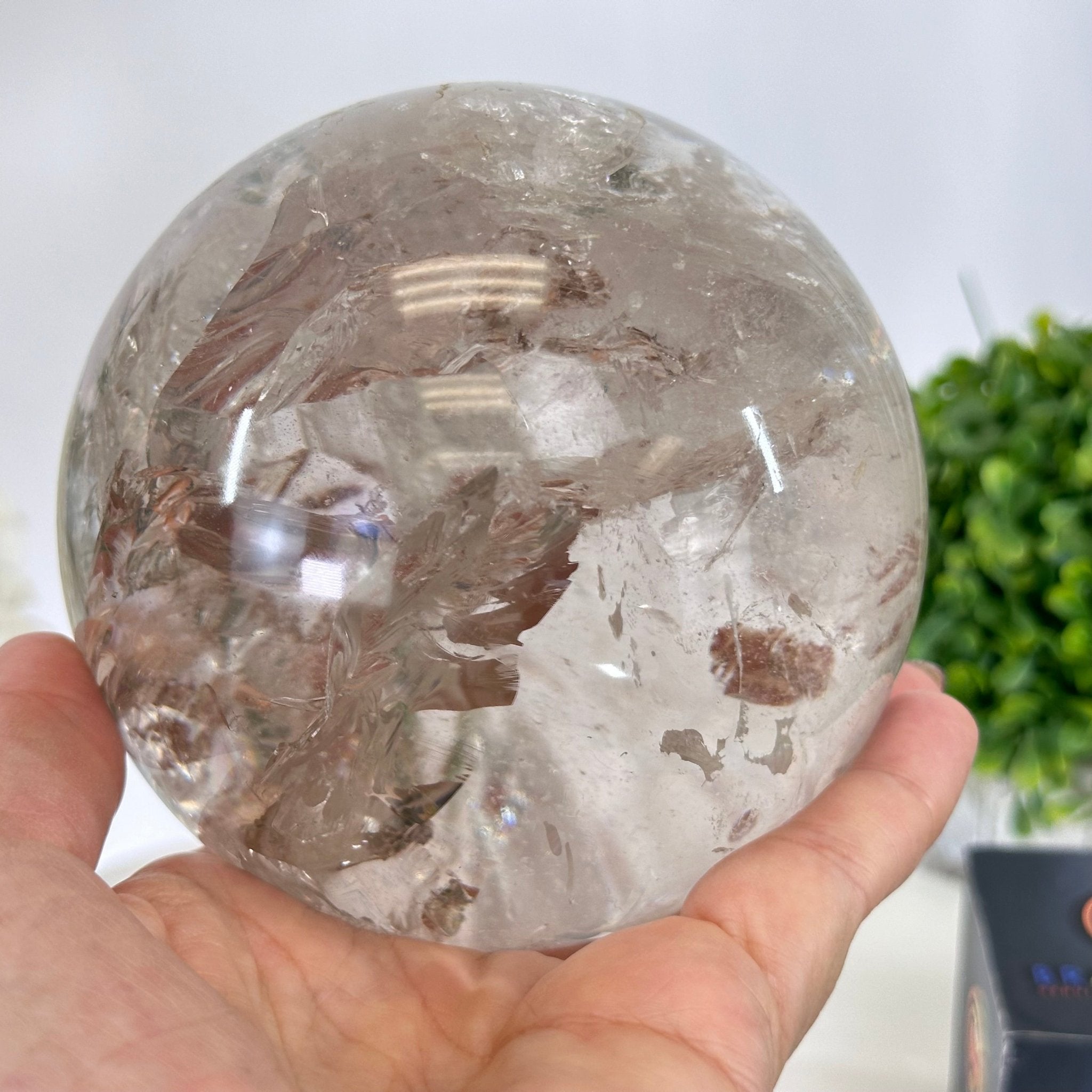 Super Quality Smoky Quartz Sphere on Wood Base 4 lbs & 5.2" Tall #5636 - 0012 - Brazil GemsBrazil GemsSuper Quality Smoky Quartz Sphere on Wood Base 4 lbs & 5.2" Tall #5636 - 0012Spheres5636 - 0012