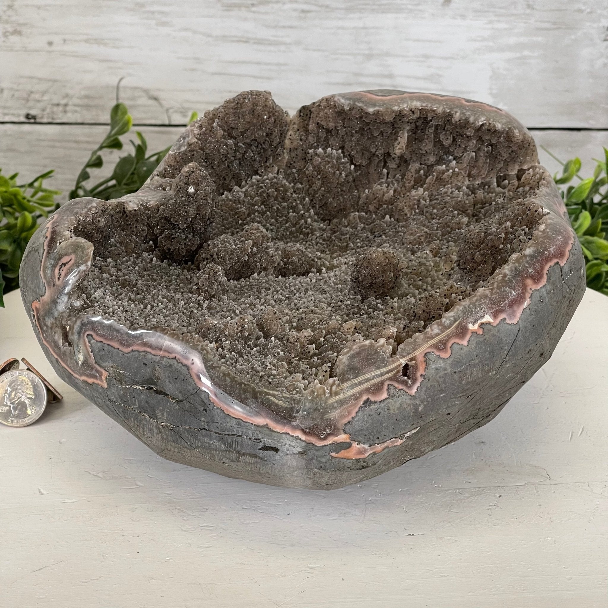 Super Quality Unique Uruguayan Pink Amethyst Geode, 10.38 lbs & 5” tall #5611-0474 by Brazil Gems - Brazil GemsBrazil GemsSuper Quality Unique Uruguayan Pink Amethyst Geode, 10.38 lbs & 5” tall #5611-0474 by Brazil GemsClusters: Unique & Freeform5611-0474