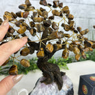 Tiger's Eye 9" Tall Handmade Gemstone Tree on a Crystal base, 120 Gems #5403TIGE - Brazil GemsBrazil GemsTiger's Eye 9" Tall Handmade Gemstone Tree on a Crystal base, 120 Gems #5403TIGEGemstone Trees5403TIGE