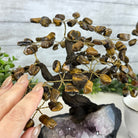 Tiger's Eye 9" Tall Handmade Gemstone Tree on a Crystal base, 120 Gems #5403TIGE - Brazil GemsBrazil GemsTiger's Eye 9" Tall Handmade Gemstone Tree on a Crystal base, 120 Gems #5403TIGEGemstone Trees5403TIGE