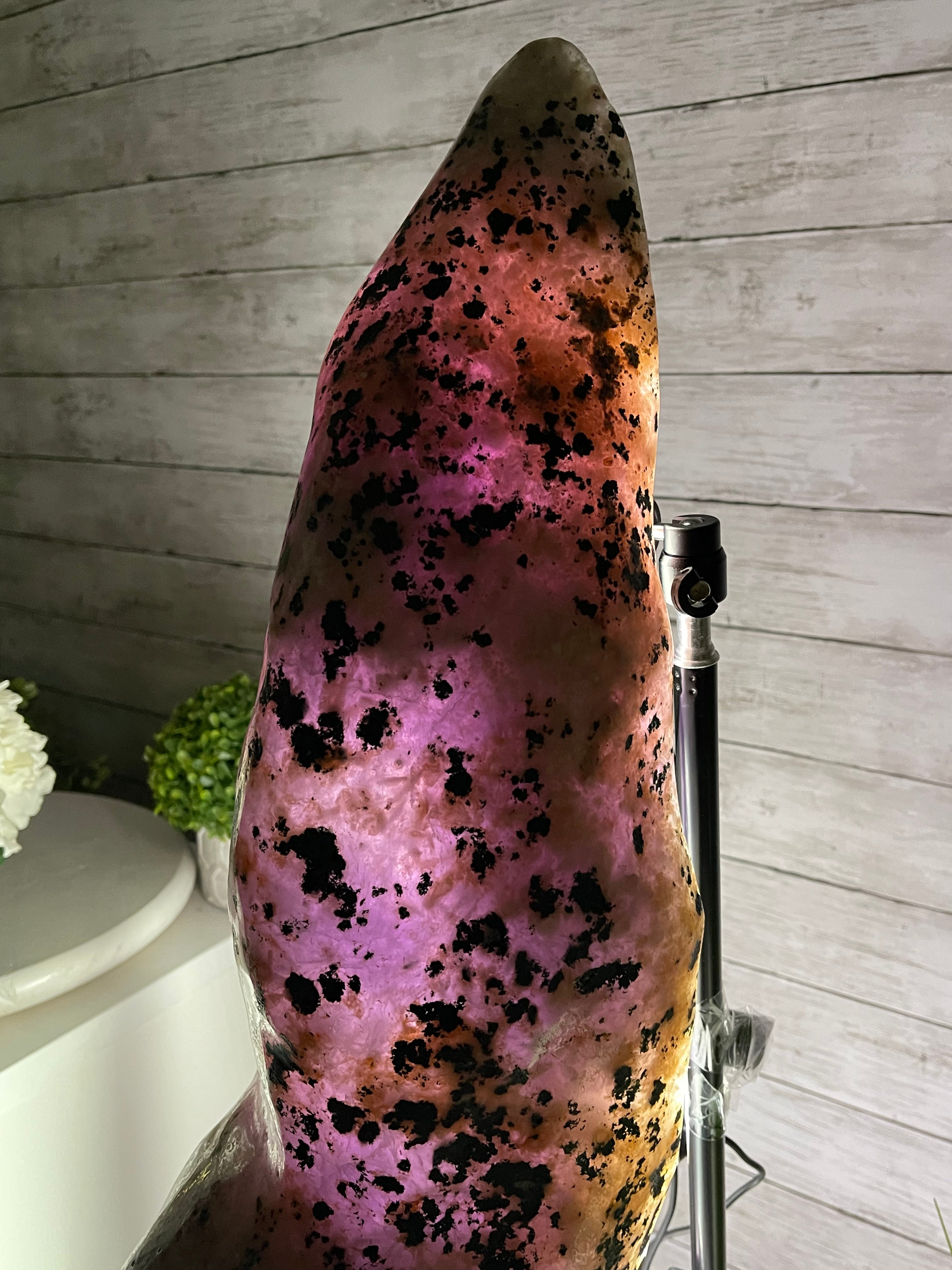 Large Extra Plus Quality Polished Brazilian Amethyst Cathedral, 157 lbs & 50.6” Tall Model #5602-0146 by Brazil Gems - Brazil GemsBrazil GemsLarge Extra Plus Quality Polished Brazilian Amethyst Cathedral, 157 lbs & 50.6” Tall Model #5602-0146 by Brazil GemsPolished Cathedrals5602-0146