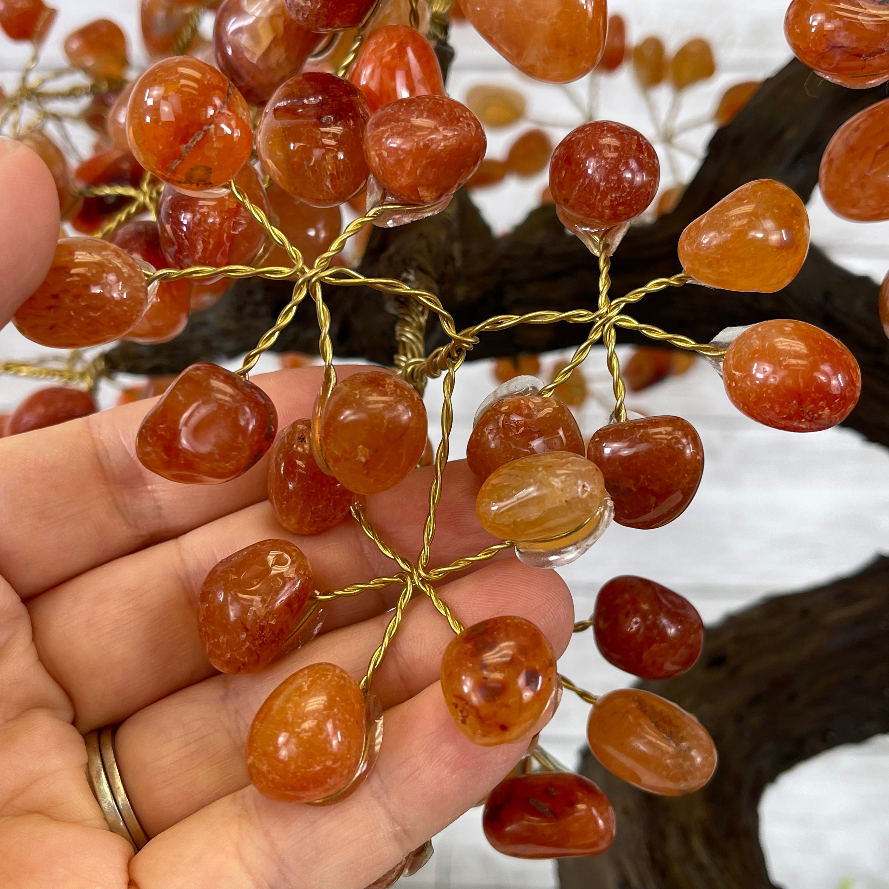 Hand holding red and orange gemstones from the Carnelian Tree