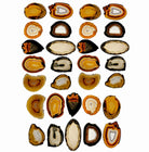 Polished natural Brazilian Agate slices, Sets of 10-20-30 slices