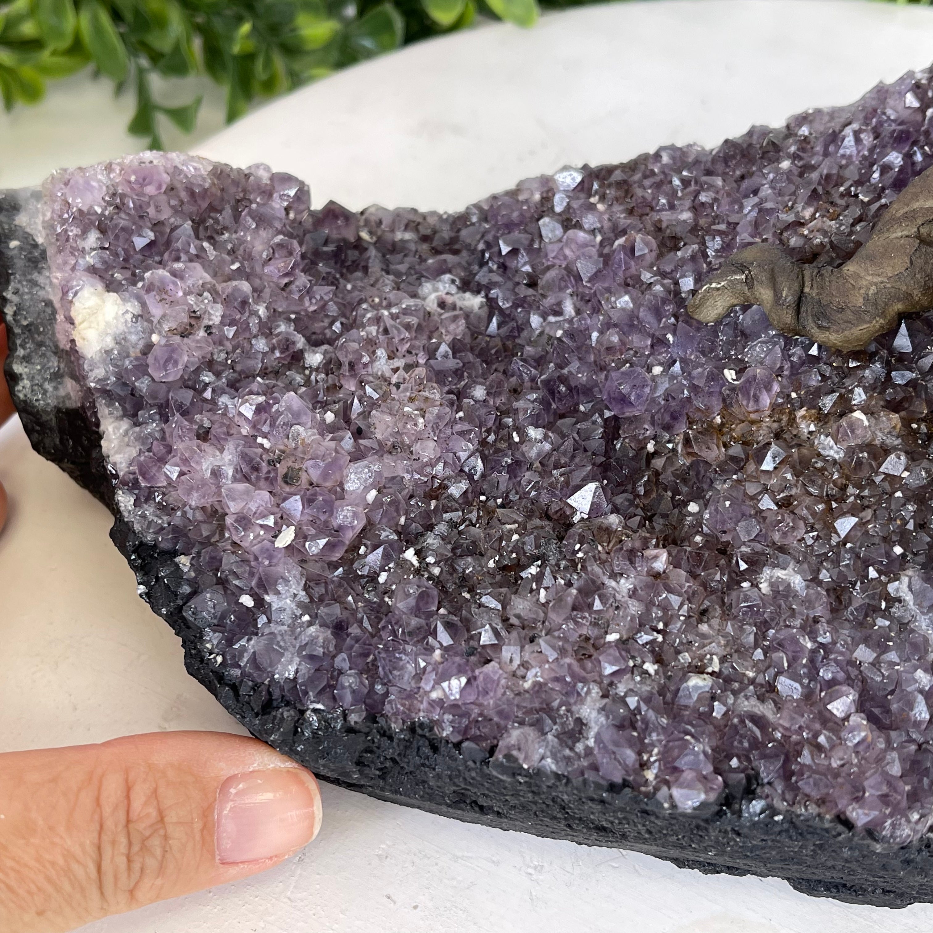 Person holding the Amethyst base of the Carnelian Gemstone Tree