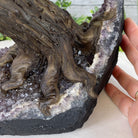 Hand holding the Amethyst base with tree root of the Carnelian Tree
