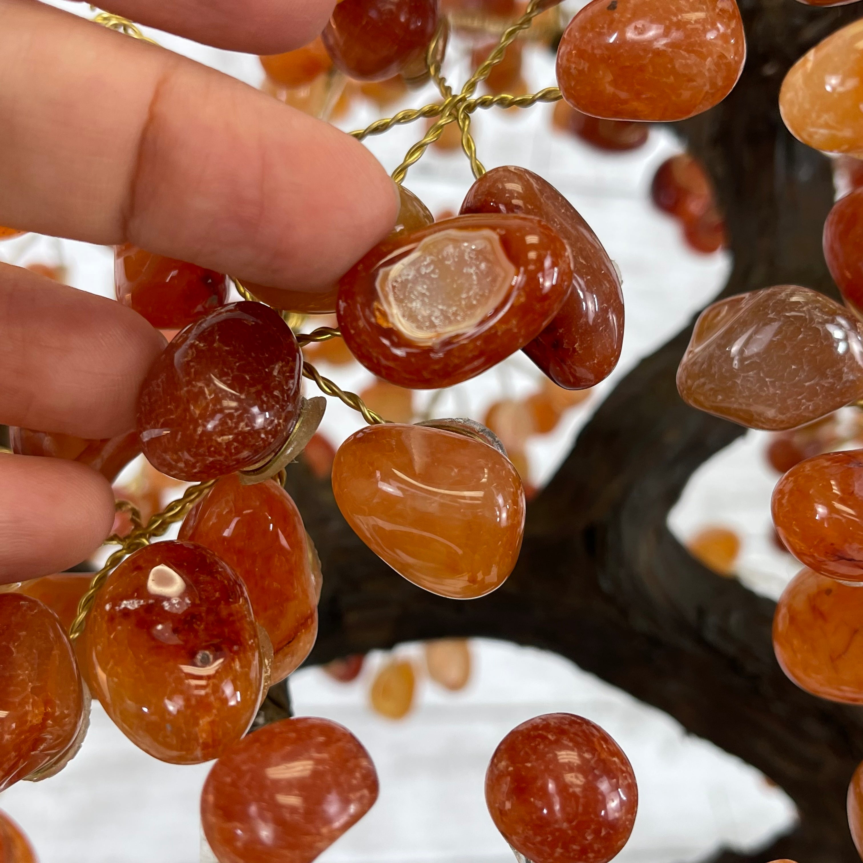 A person holding a collection of red and orange Carnelian gemstones