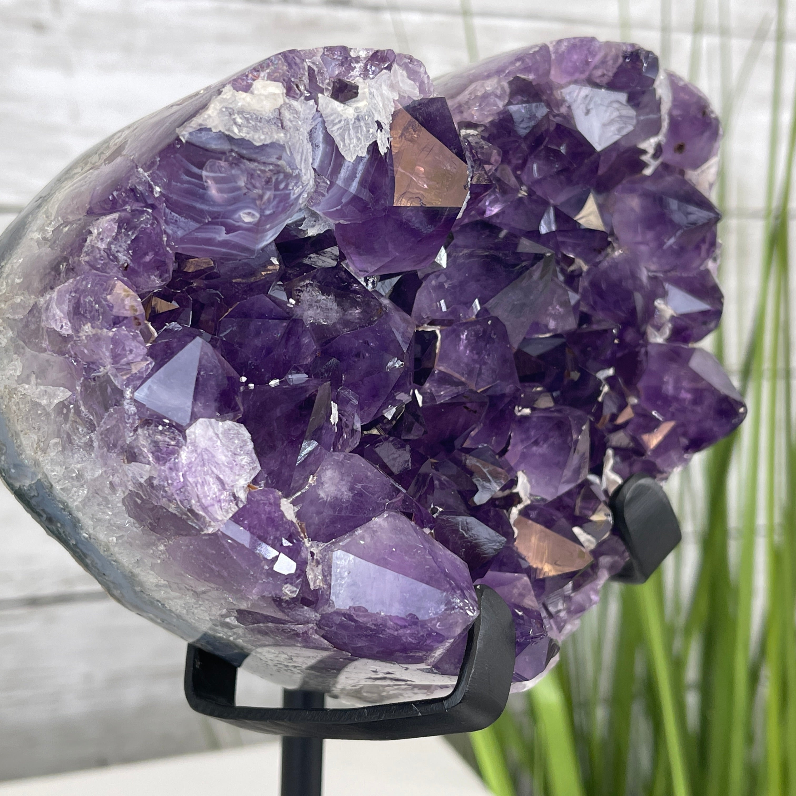 Cluster of amethyst crystals on a black stand